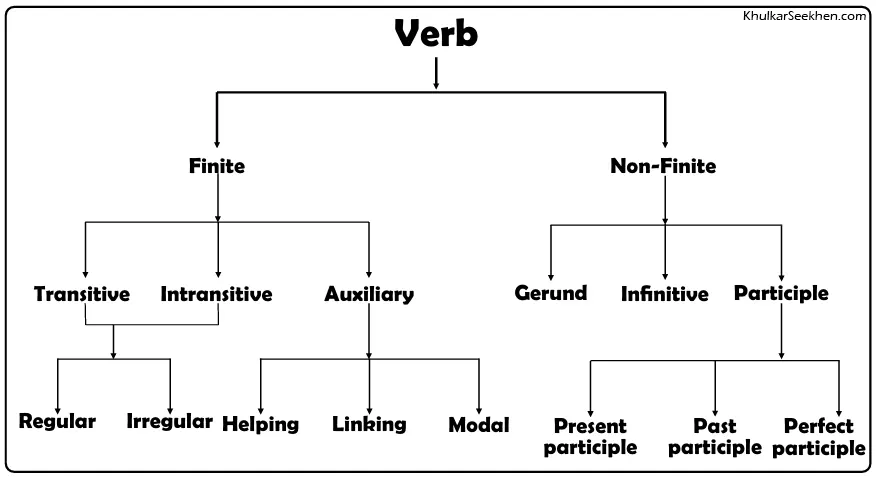 Verb: Definition, Types and Examples 1 Classification of Verbs