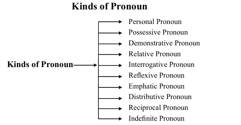 The Pronoun: Definition, Types, Examples and Exercises 1 Types of Pronoun in English Grammar